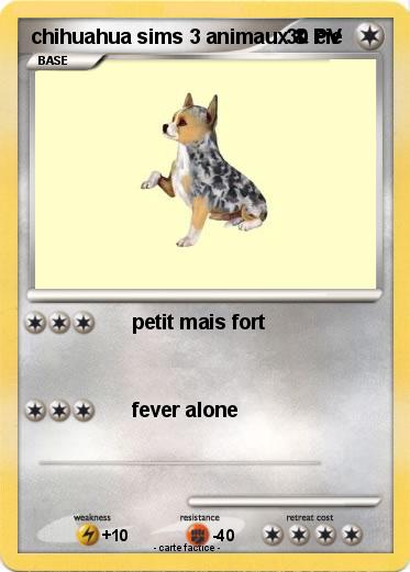Pokemon chihuahua sims 3 animaux & cie