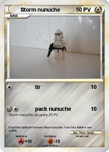 Pokemon Storm nunuche