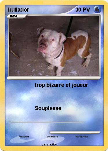 Pokemon bullador