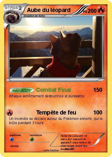 Pokemon Aube du léopard