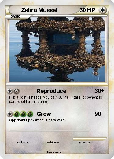 Pokemon Zebra Mussel