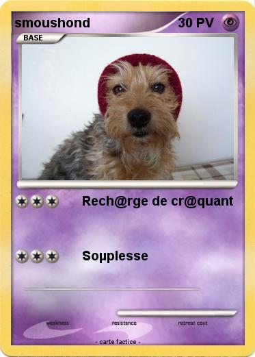 Pokemon smoushond