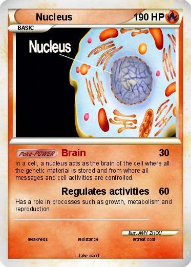 Pokemon Nucleus
