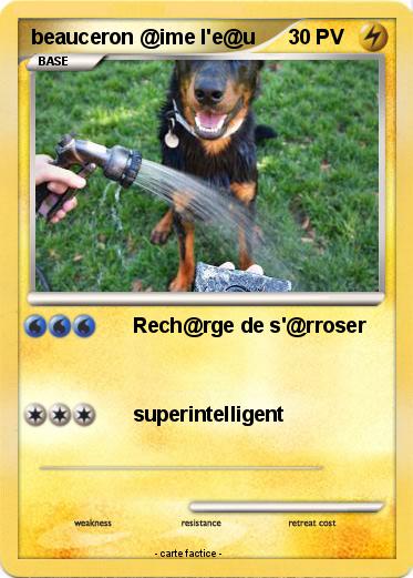 Pokemon beauceron @ime l'e@u
