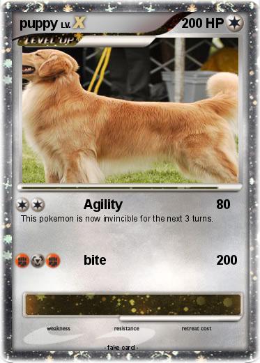 Pokemon puppy