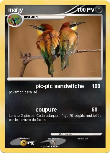 Pokemon marjy