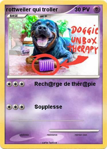 Pokemon rottweiler qui troller