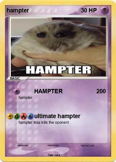 Pokemon hampter