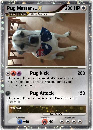 Pokemon Pug Master