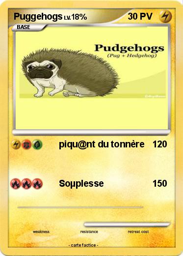 Pokemon Puggehogs