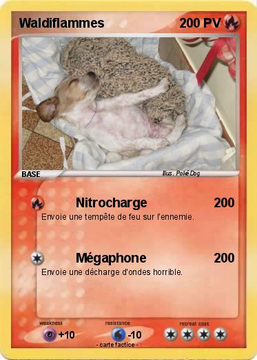 Pokemon Waldiflammes
