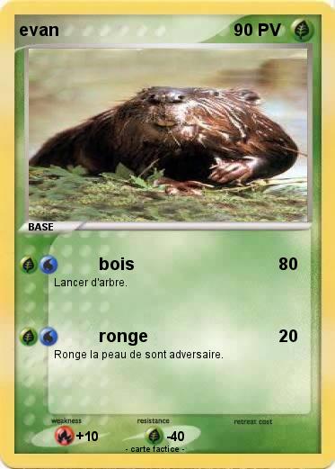 Pokemon evan