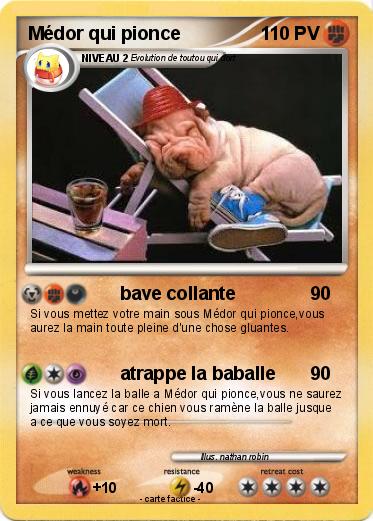 Pokemon Médor qui pionce