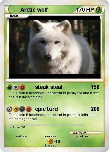 Pokemon Arctic wolf