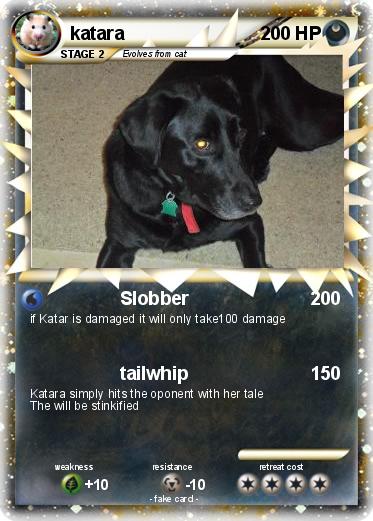 Pokemon katara