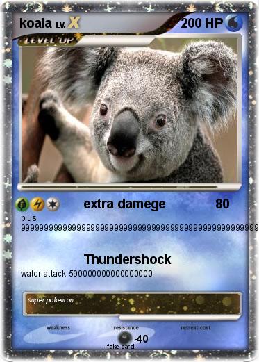 Pokemon koala