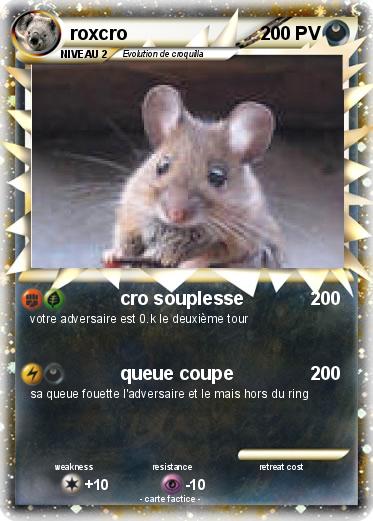 Pokemon roxcro