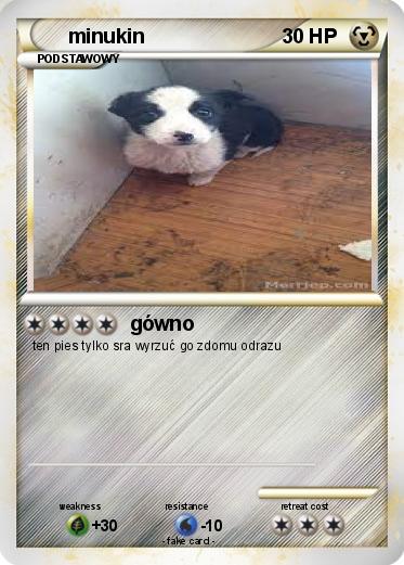 Pokemon minukin