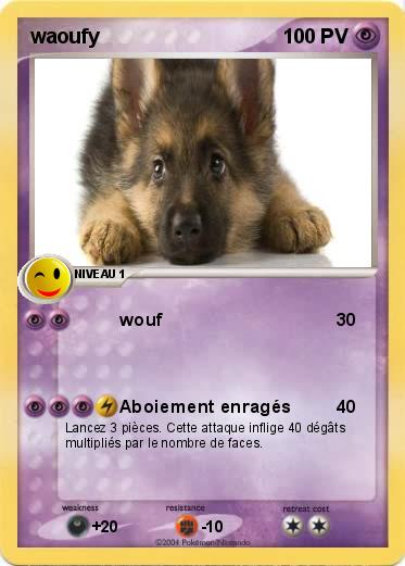 Pokemon waoufy