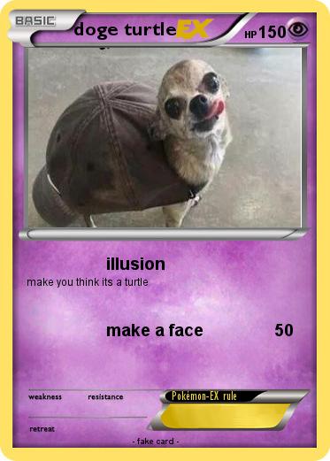 Pokemon doge turtle