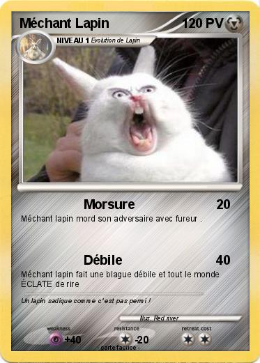 Pokemon Méchant Lapin