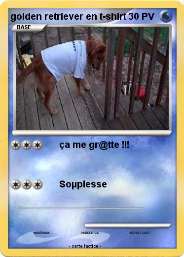 Pokemon golden retriever en t-shirt