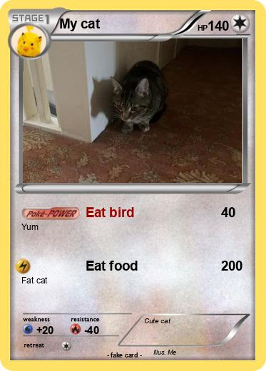 Pokemon My cat
