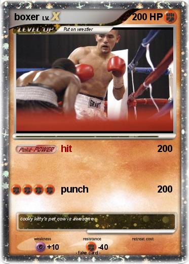 Pokemon boxer