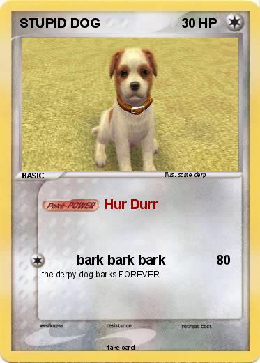 Pokemon STUPID DOG