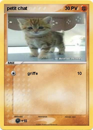 Pokemon petit chat