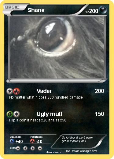Pokemon Shane