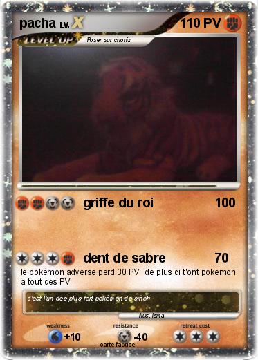Pokemon pacha