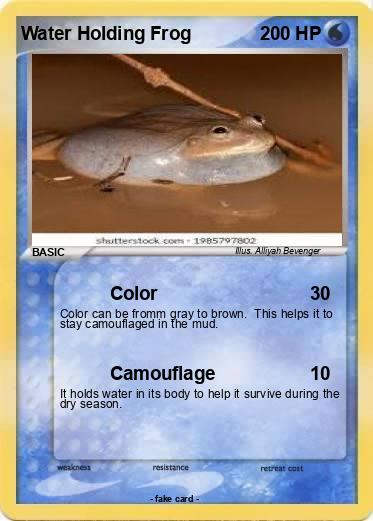 Pokemon Water Holding Frog