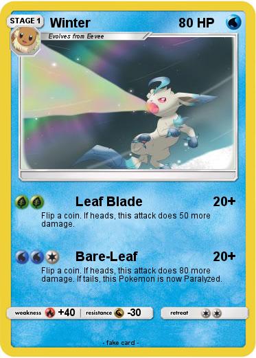 Pokemon Winter