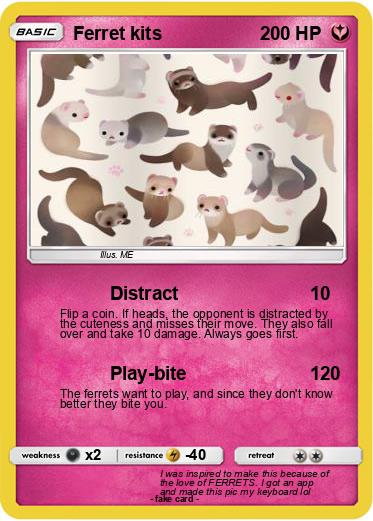 Pokemon Ferret kits