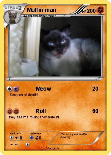 Pokemon Muffin man