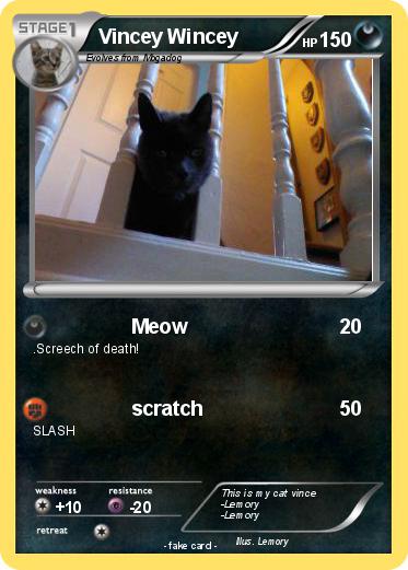 Pokemon Vincey Wincey