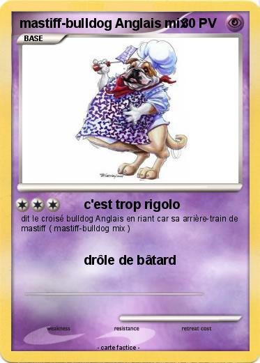 Pokemon mastiff-bulldog Anglais mix