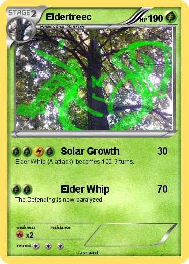 Pokemon Eldertreec