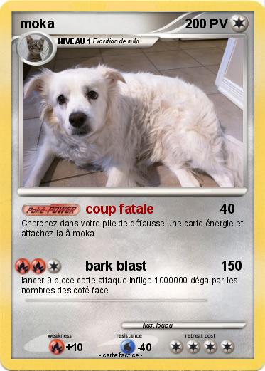 Pokemon moka