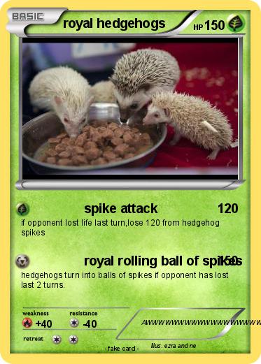 Pokemon royal hedgehogs