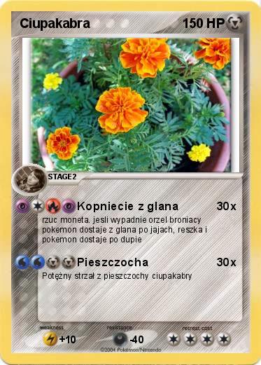 Pokemon Ciupakabra