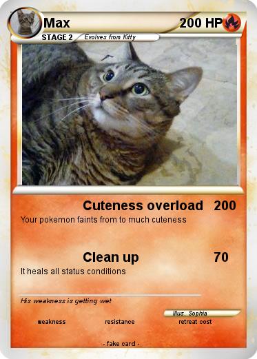 Pokemon Max