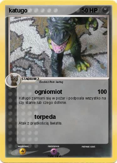 Pokemon katugo