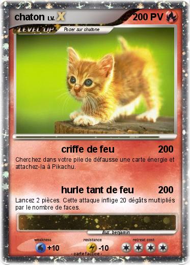 Pokemon chaton
