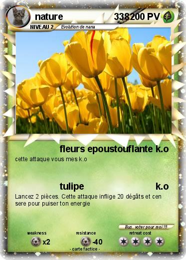 Pokemon nature                    338