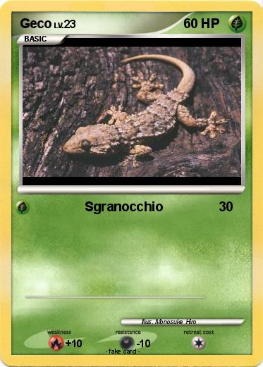Pokemon Geco