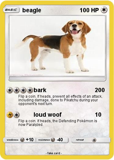 Pokemon beagle