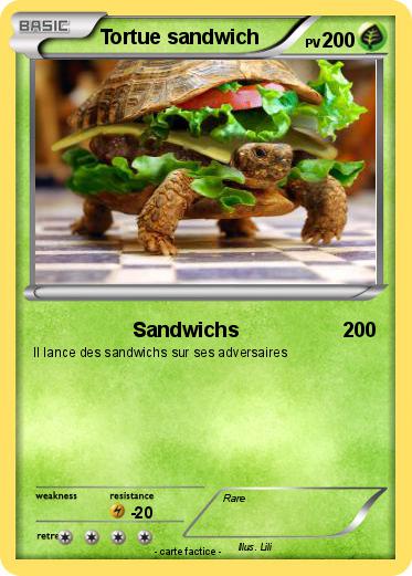 Pokemon Tortue sandwich