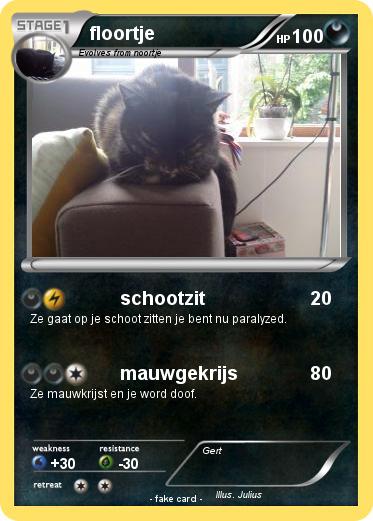 Pokemon floortje